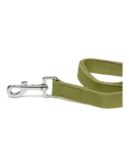 Laisse pour Chien Gloria Oasis 1.5 x 100 cm Vert