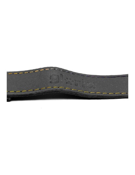 Laisse pour Chien Gloria Oasis 3 x 60 cm Noir