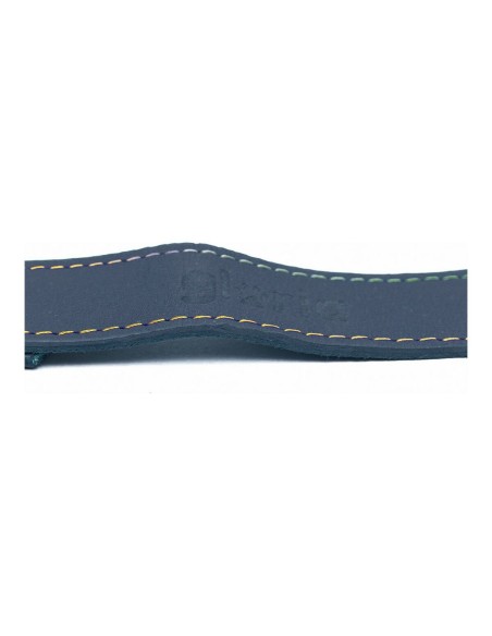 Laisse pour Chien Gloria Oasis 1.5 x 100 cm Bleu