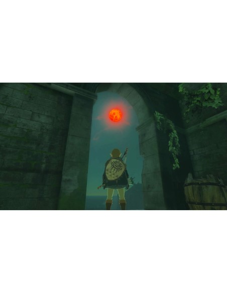 Jeu vidéo pour Switch Nintendo TLOZ TEA OFTKIN