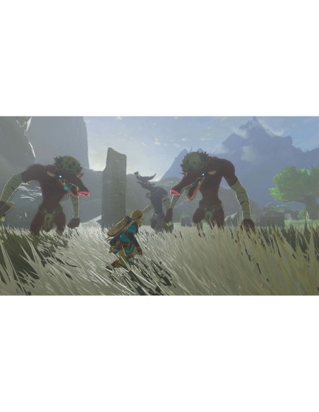 Jeu vidéo pour Switch Nintendo TLOZ TEA OFTKIN