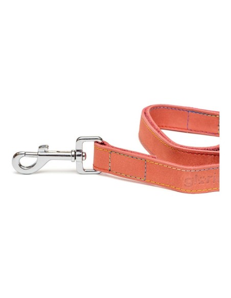 Laisse pour Chien Gloria Oasis 2.1 x 100 cm Rose