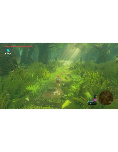 Console de Jeu Portable Nintendo TLOZ BOTW NS2E