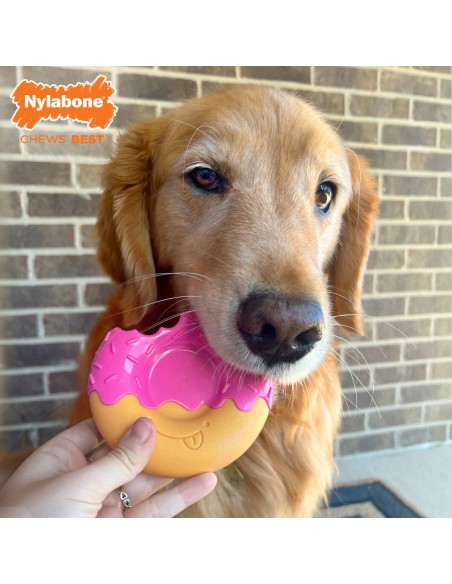 Jouet pour chien Nylabone Rose Bacon L
