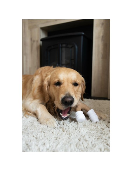 Jouet pour chien Nylabone Marron Beurre de cacahuètes L