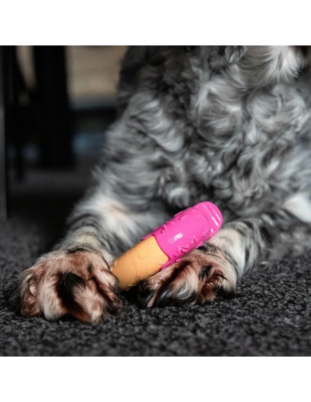 Jouet pour chien Nylabone Rose Bacon M