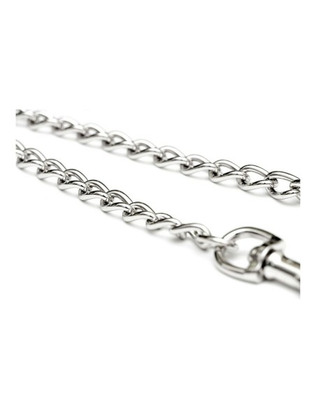 2 Accouplement pour laisse de chien Gloria 3mm x 25 cm