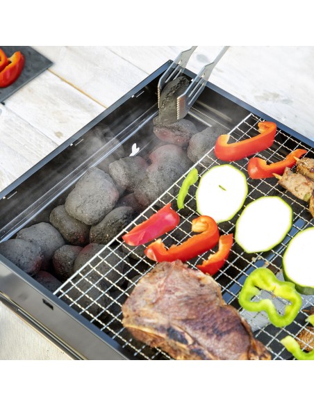 Barbecue Pliable Portatif à Charbon BearBQ InnovaGoods