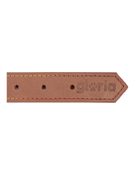 Collier pour Chien Gloria Oasis Marron (1,2 x 35 cm)