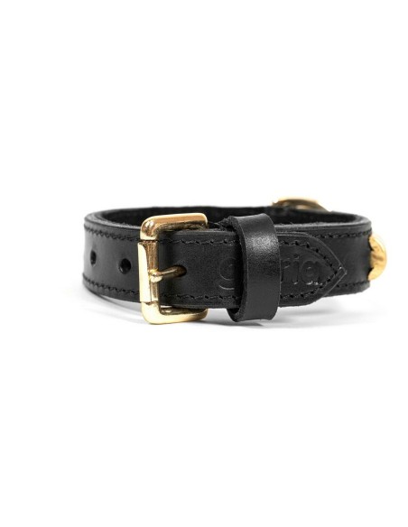 Collier pour Chien Gloria Duna Noir Doré (45 x 2.5 cm)