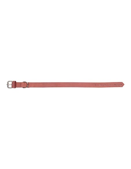 Collier pour Chien Gloria Oasis Rose (1,2 x 35 cm)