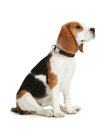 Collier pour Chien Hunter Basic Alu-Strong Rouge Taille L (45-65 cm)