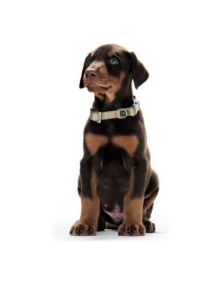 Collier pour Chien Hunter Basic Alu-Strong Rouge Taille L (45-65 cm)