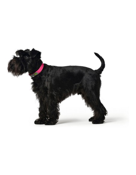 Collier pour Chien Hunter Covenience XS-S Rose (23-31 cm)