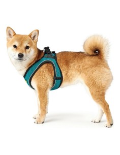 Harnais pour Chien Hunter Hilo-Comfort Turquoise Taille XS (35-37 cm) 2