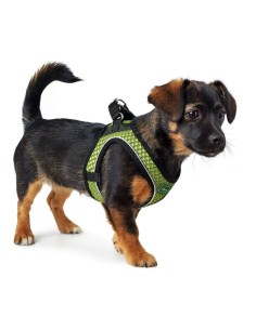 Harnais pour Chien Hunter Hilo-Comfort Citron Taille XXS (26-30 cm) 2