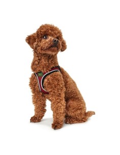 Harnais pour Chien Hunter Hilo-Comfort Rouge Taille XS (35-37 cm) 2