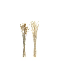 Branche DKD Home Decor Beige Marron Fleur séchée (12 x 12 x 76 cm) (2 Unités)