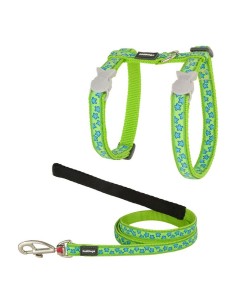 Harnais pour chat Red Dingo Style Turquoise Étoile Sangle