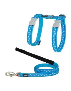 Harnais pour chat Red Dingo Style Turquoise Étoile Blanc Sangle
