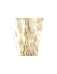 Branche DKD Home Decor Beige Marron Fleur séchée (12 x 12 x 76 cm) (2 Unités) 2