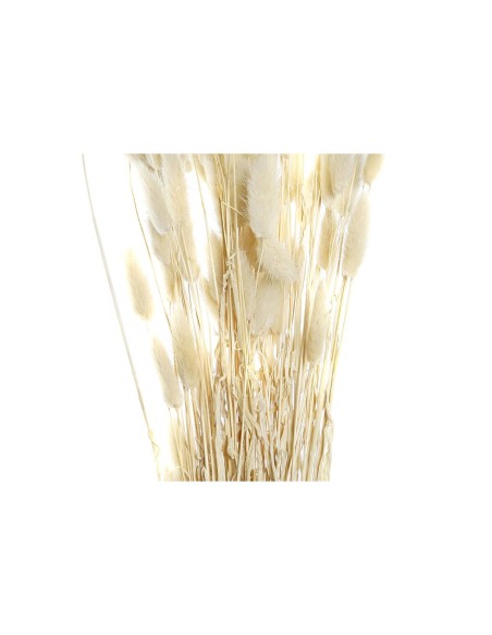 Branche DKD Home Decor Beige Marron Fleur séchée (12 x 12 x 76 cm) (2 Unités)