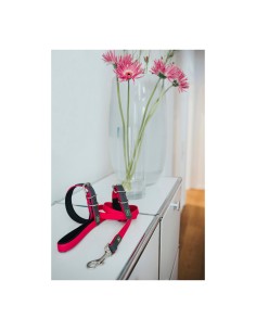 Laisse pour Chien Hunter CONVENIENCE 2 x 120 cm Rose 2