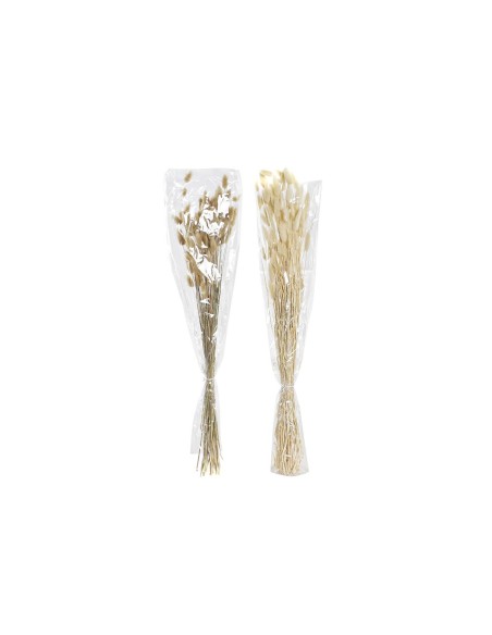 Branche DKD Home Decor Beige Marron Fleur séchée (12 x 12 x 76 cm) (2 Unités)