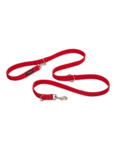 Laisse pour Chien Company of Animals Rouge S 2