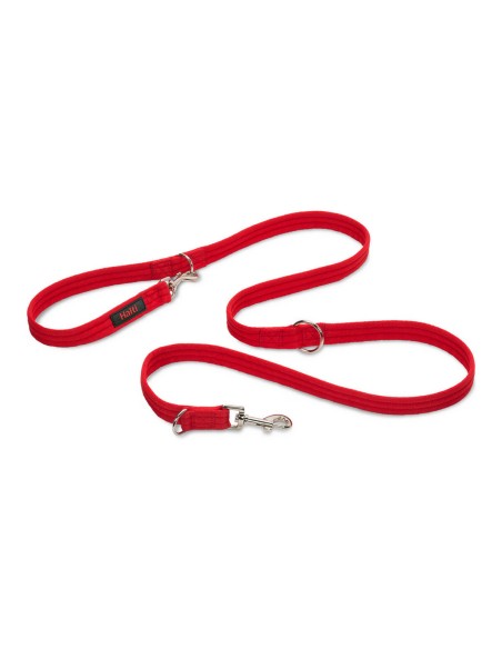 Laisse pour Chien Company of Animals Rouge S