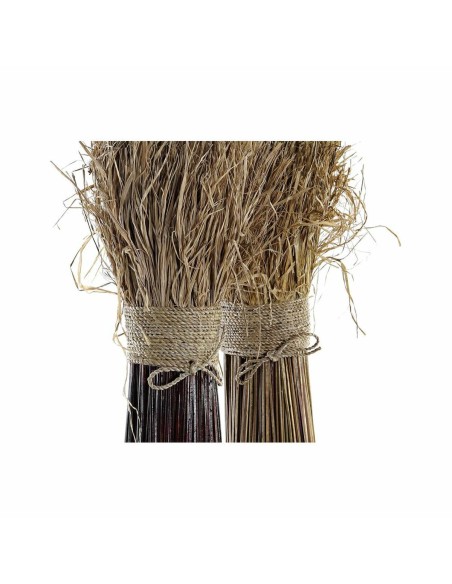 Branche DKD Home Decor 27 x 27 x 72 cm 27 x 27 x 67 cm Naturel (2 Unités)