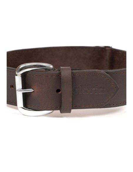 Collier pour Chien Gloria Marron (85 x 4 cm)