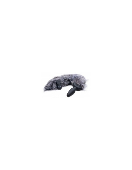 Plug Anal XR