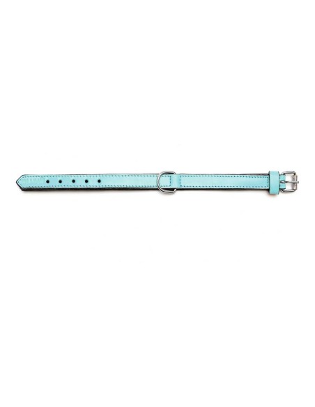 Collier pour Chien Gloria Rembourré Bleu (55 x 2,5 cm)