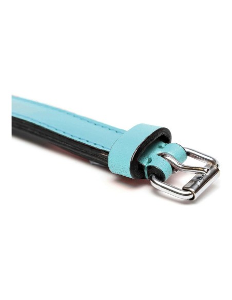 Collier pour Chien Gloria Rembourré Bleu (55 x 2,5 cm)