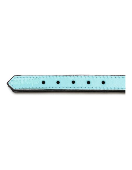 Collier pour Chien Gloria Rembourré Bleu (55 x 2,5 cm)