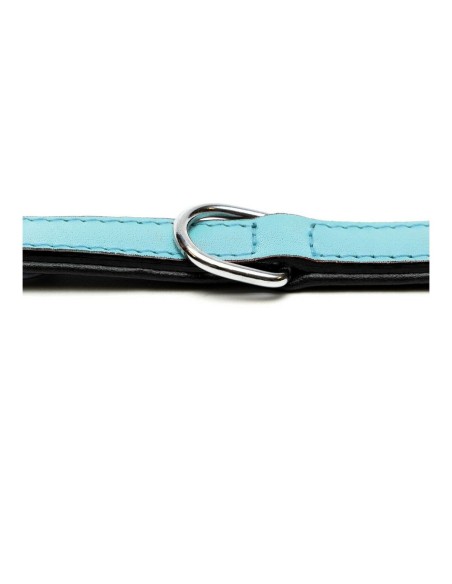 Collier pour Chien Gloria Rembourré Bleu (55 x 2,5 cm)