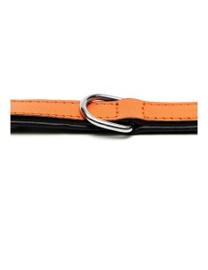 Collier pour Chien Gloria Rembourré Orange (35 x 1,5 cm) 2