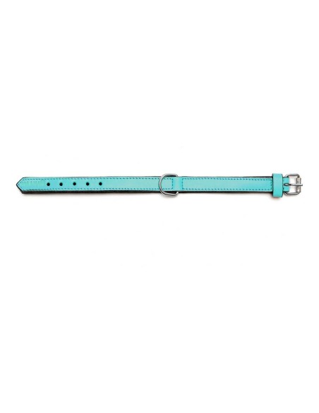 Collier pour Chien Gloria Rembourré Turquoise 40 cm (40 x 2 cm)
