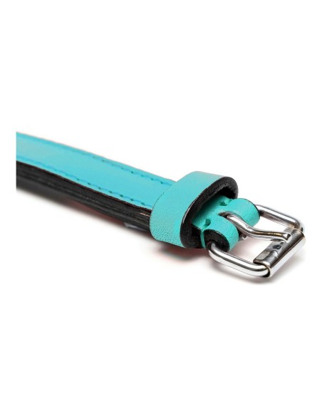 Collier pour Chien Gloria Rembourré Turquoise 40 cm (40 x 2 cm)