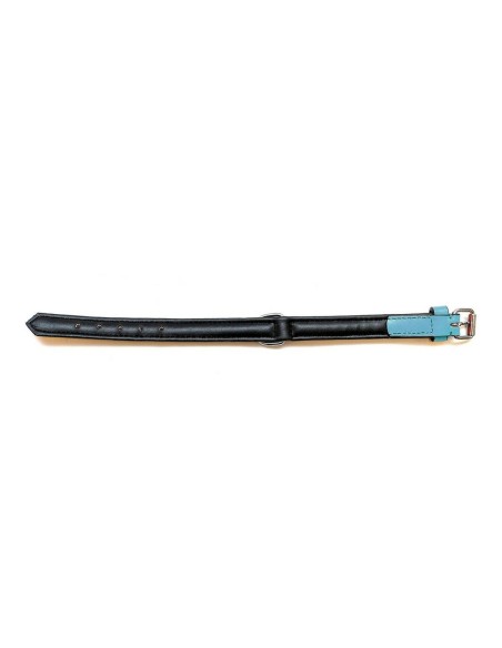 Collier pour Chien Gloria Rembourré Turquoise 40 cm (40 x 2 cm)