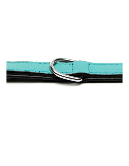 Collier pour Chien Gloria Rembourré Turquoise 40 cm (40 x 2 cm)
