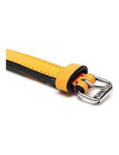 Collier pour Chien Gloria Rembourré Jaune (45 x 2 cm) 2
