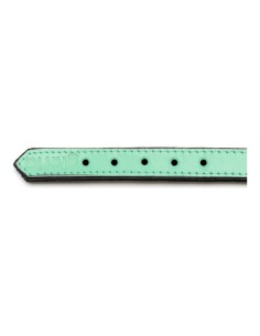 Collier pour Chien Gloria Rembourré Vert (35 x 1,5 cm) 2