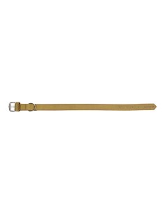 Collier pour Chien Gloria Oasis Vert (40 x 1,5 cm) 2