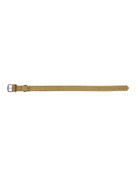 Collier pour Chien Gloria Oasis Vert (40 x 1,5 cm)
