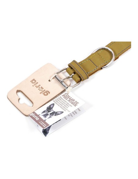 Collier pour Chien Gloria Oasis Vert (40 x 1,5 cm)