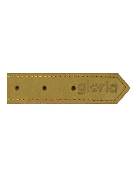 Collier pour Chien Gloria Oasis Vert (40 x 1,5 cm)