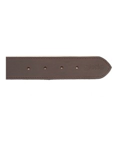 Collier pour Chien Gloria Marron 65 cm (65 x 4 cm) 2