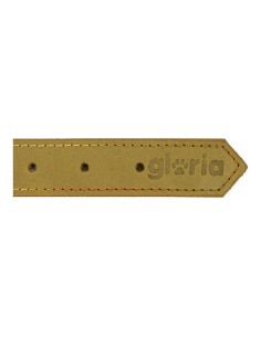 Collier pour Chien Gloria Oasis Vert (65 x 3 cm) 2